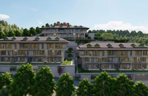 HCC-IST 310 SEBA SILVA SARIYER