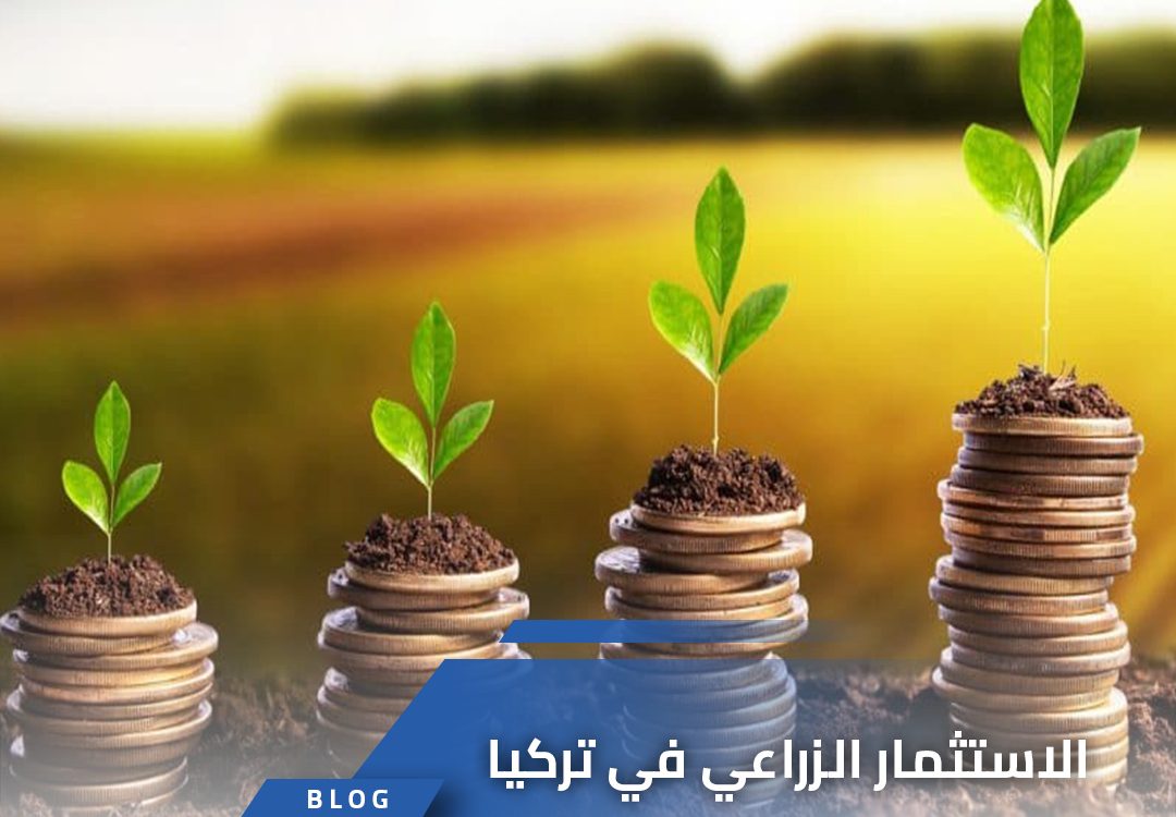 الاستثمار الزراعي في تركيا