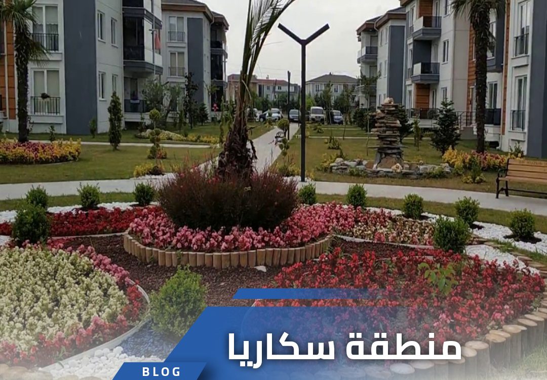 منطقة سكاريا