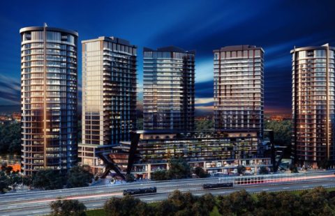 HCC-IST-404 Fortis Sinanli