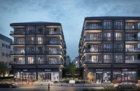 HCC-IST-417 Seba Nest