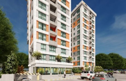 HCC-IST-451 Elit Park