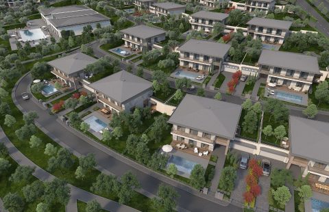 HCC-IST-470 Neva Vita