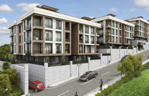 HCC-IST-541 Marmarin plus