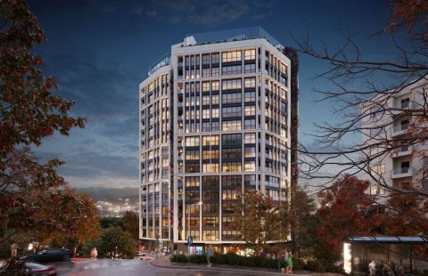 HCC-IST-531 Polat Akatlar