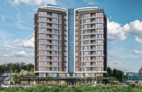 HCC-IST-525 Cuento Elite