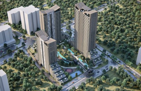 HCC-IST-536 Valentium