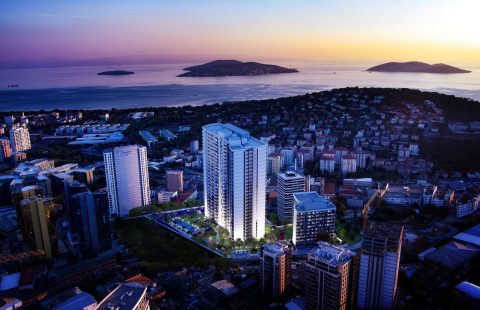 HCC-IST-551 Almis La Mer Dragos