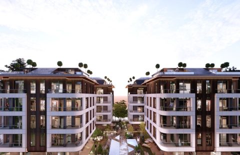 HCC- IST 581 BABACAN GARDENIA