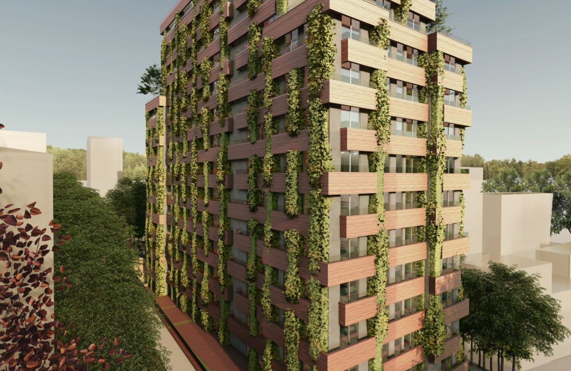 SENSE LEVENT