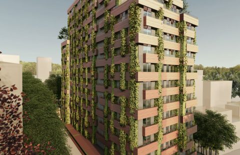 HCC-586-SENSE LEVENT