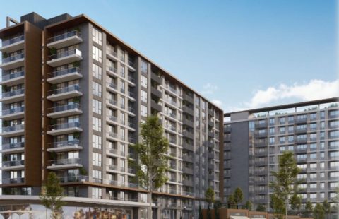 HCC-IST-591 VALORY GÜNEŞLI